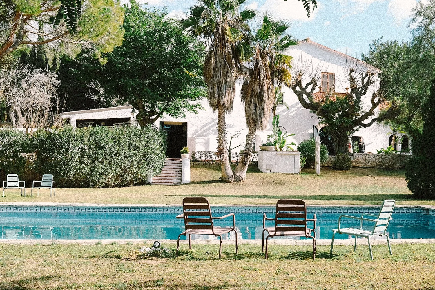 The whitewashed pool house framed by a lush garden