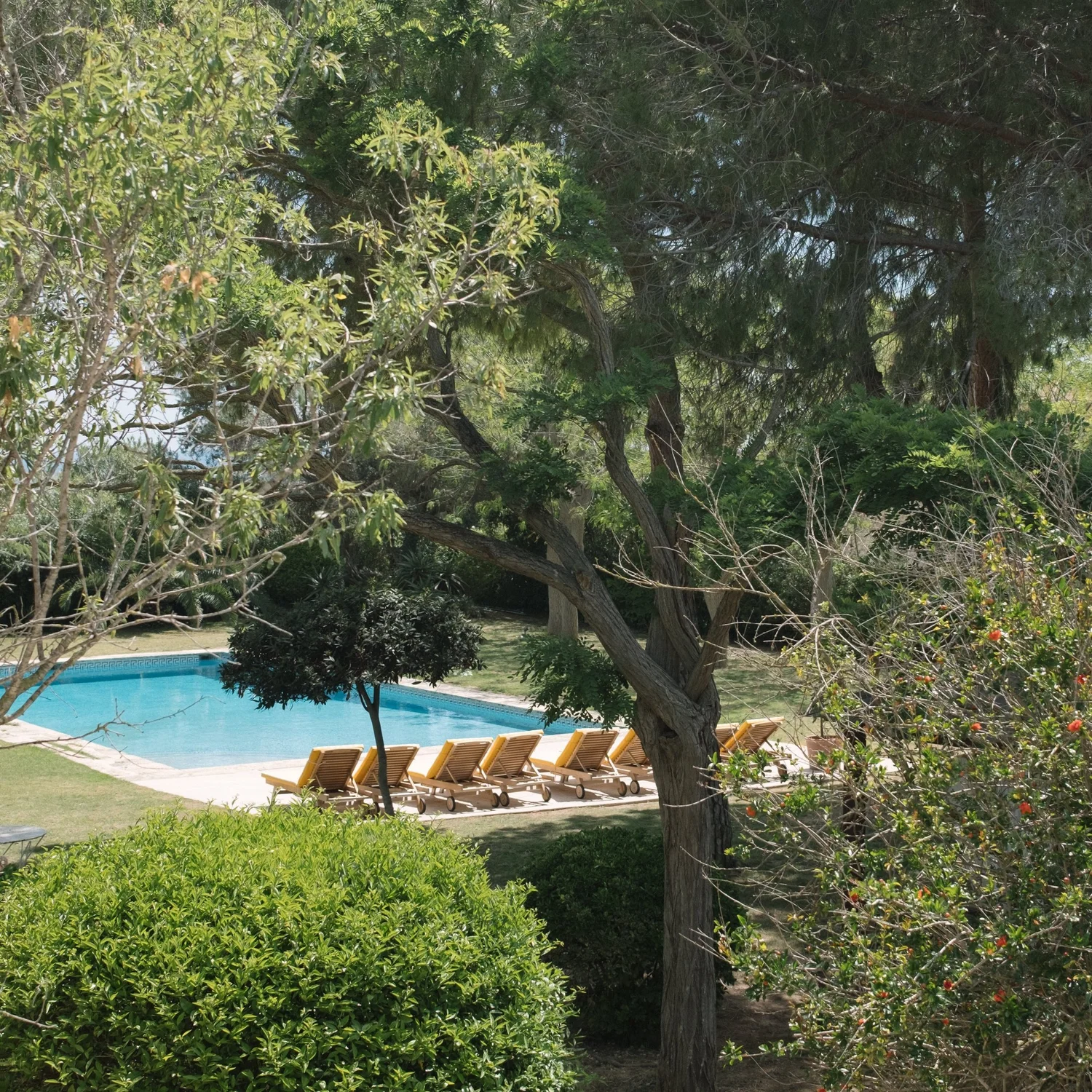 Masia Can Pares, guest house near sitges - view of the pool